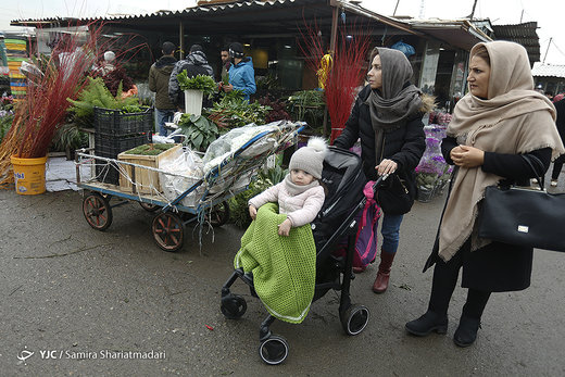 بازار گل تهران