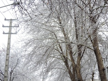ادامه بارش برف در ارومیه