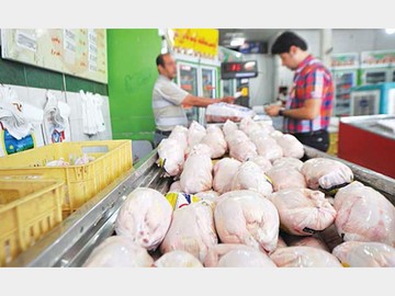 ادامه روند کاهش قیمت مرغ در بازار