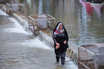 آیین سنتی نو اوستی در اردبیل