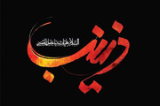 پادکست | نوحه‌خوانی محمود کریمی در وفات حضرت زینب(س)