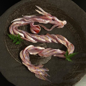 ساشی می
