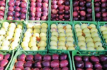 بازار آشفته میوه در همدان
