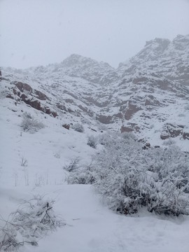 طبیعت مناطق روستایی اطراف شهرستان فیروزکوه