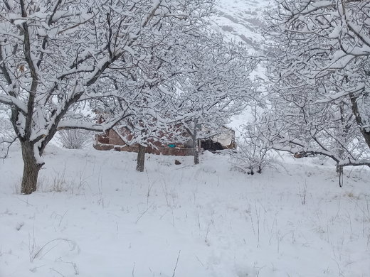 طبیعت مناطق روستایی اطراف شهرستان فیروزکوه