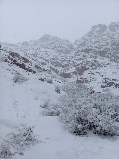 طبیعت مناطق روستایی اطراف شهرستان فیروزکوه