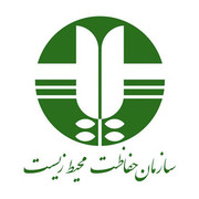 سر تاکسی‌درمی شده حیوانات در اداره محیط‌زیست یزد چه می‌کرد؟/ عکس