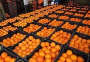 نصف میوه‌های تنظیم بازاری برای نوروز ۹۸ توزیع شد