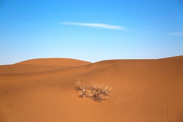 کویر ابوزید آباد