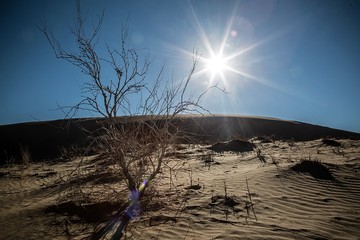 کویر ابوزید آباد