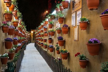 نوروز در مبارکه اصفهان