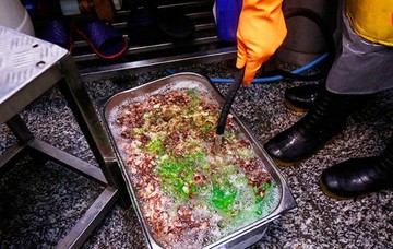 کشف ۲۶۷ کیلو مواد غذایی فاسد در درکه و رستورانهای شمال پایتخت کشف ۲۶۷ کیلو مواد غذایی فاسد در درکه و رستورانهای شمال پایتخت