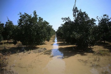 ادامه امدادرسانی به روستاهای سیل زده مازندران‎