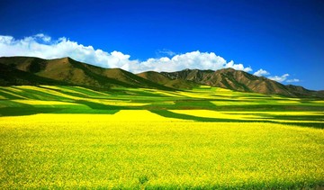 فصل بهار در استان‌ چینگ‌های چین 