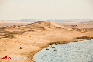 شهر یزد