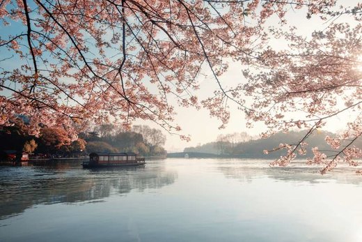 فصل بهار در شهر هانگژو چین