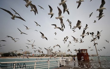 مسافران نوروزی در جزیره کیش