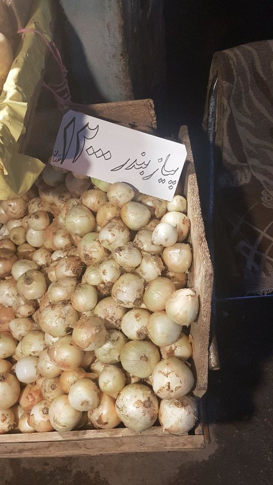 پیاز 