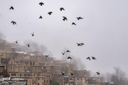 تصاویر | بارش برف نوروزی در شهر دیدنی ماسوله