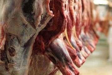 سیل با انبارهای مرغ و گوشت تنظیم بازاری چه کرد؟