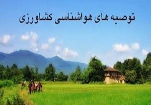 هواشناسی: کشاورزان سم پاشی، برداشت محصول و وجین نکنند