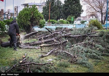کشاورزان چقدر خسارت سیل دریافت می‌کنند؟