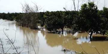 مرگ ۵ نفر در سیل مازندران؛ اسامی و علت فوت