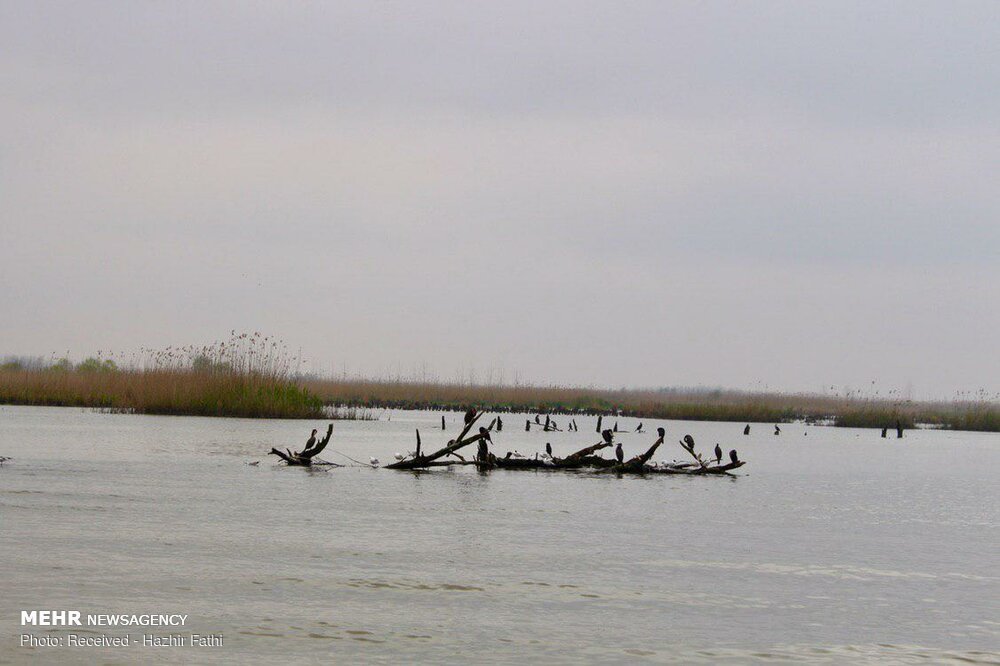 طبیعت بهاری استان گیلان