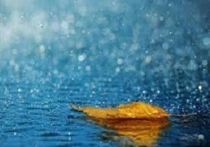 بهار خنکی در پیش است/ بارش‌ها ۱۶۸ درصد افزایش داشت