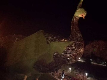 عامل آتش زدن مجسمه طاووس دروازه قرآن شیراز دستگیر شد