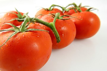 خرید حمایتی گوجه‌فرنگی در آذربایجان‌غربی آغاز شد