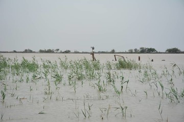 احتمال قطع راه ارتباطی خرمشهر به آبادان در پی افزایش آب اروندرود