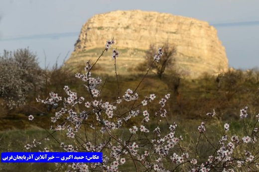بهار در باغات کاظم داشی