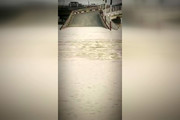 فیلم | عمق آب در کیانپارس اهواز!