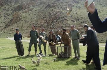 آشتی شکارچیان مهابادی با طبیعت
