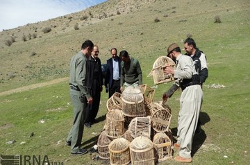 آشتی شکارچیان مهابادی با طبیعت