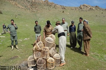 آشتی شکارچیان مهابادی با طبیعت