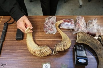 دستگیری شکارچیان غیرمجاز