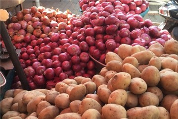 کنترل قیمت پیاز و سیب‌زمینی با ممنوعیت صادرات