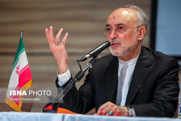 علی‌اکبر صالحی: گستاخی آمریکا در عزم جزم ما برای پیشبرد اهداف کلان هسته‌ای خللی وارد نمی‌کند