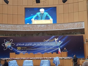 14 IAEA positive reports sign of Tehran's commitment: Iran nuclear chief