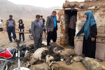 جمع‌آوری لاشه حیوانات در برخی مناطق سیل‌زده مقدور نیست