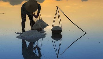 تصاویر | با نمک‌ترین عکس‌های دنیا را ببینید!