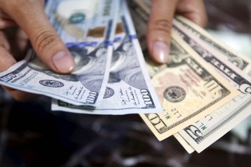 عرضه بیش از ۴۲۰ میلیون یورو به سامانه نیما
