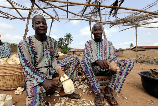 دوقلوها در شهر ایگبو اورا نیجریه