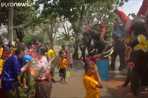 فیلم | آب بازی با فیل‌ها در تایلند به مناسبت سال جدید 