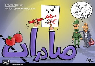 گرونی گوجه زیر سر اینه! 