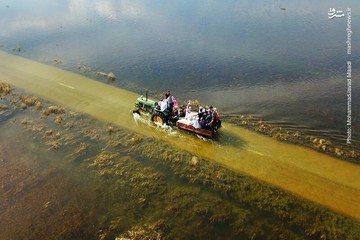 پناه بردن سیل‌زدگان خوزستان به جنگل