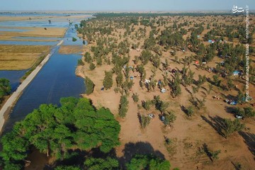 پیامد بعدی نابودی جنگل‌ها در ایران؛ صدها روستای ایران در خطر