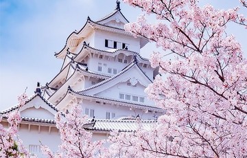 تصاویر | عروس چشم بادامی‌ها را ببینید